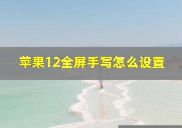 苹果12全屏手写怎么设置