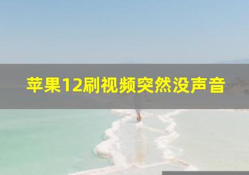 苹果12刷视频突然没声音