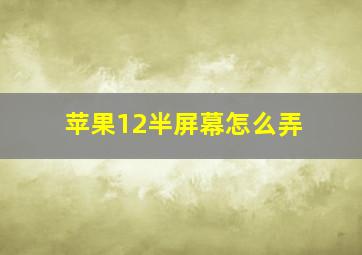 苹果12半屏幕怎么弄