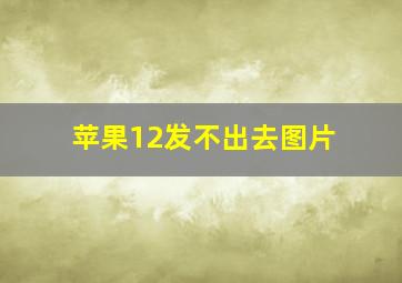 苹果12发不出去图片