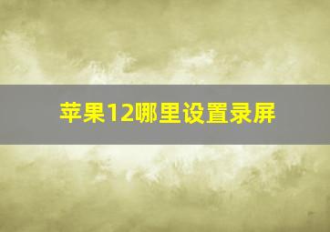 苹果12哪里设置录屏