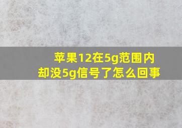 苹果12在5g范围内却没5g信号了怎么回事