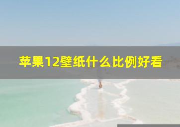 苹果12壁纸什么比例好看