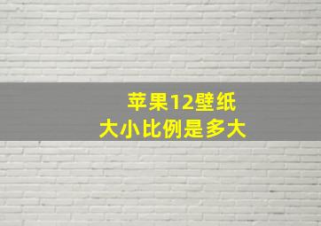 苹果12壁纸大小比例是多大