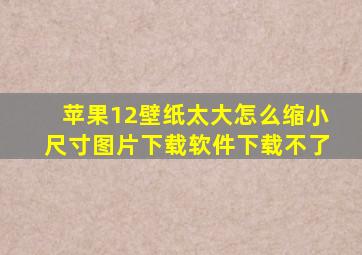 苹果12壁纸太大怎么缩小尺寸图片下载软件下载不了