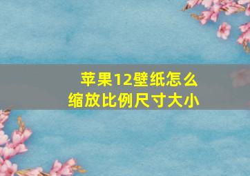 苹果12壁纸怎么缩放比例尺寸大小