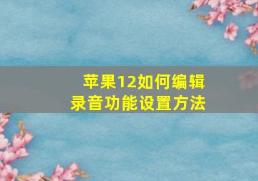 苹果12如何编辑录音功能设置方法