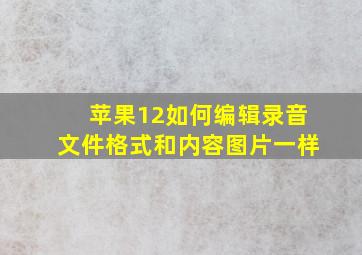 苹果12如何编辑录音文件格式和内容图片一样