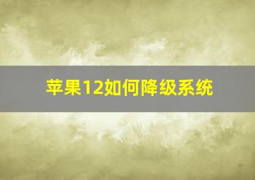 苹果12如何降级系统