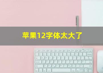 苹果12字体太大了