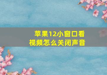 苹果12小窗口看视频怎么关闭声音