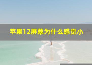 苹果12屏幕为什么感觉小