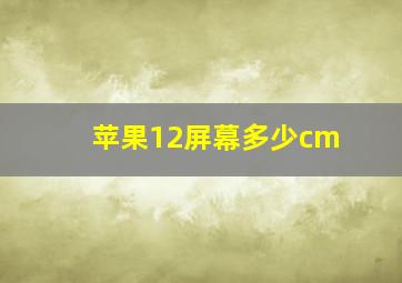 苹果12屏幕多少cm