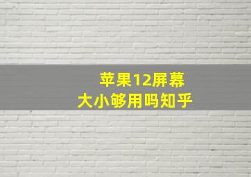 苹果12屏幕大小够用吗知乎