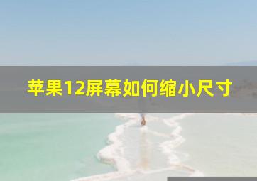 苹果12屏幕如何缩小尺寸