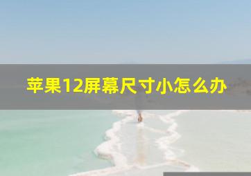 苹果12屏幕尺寸小怎么办