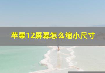 苹果12屏幕怎么缩小尺寸