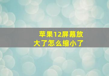 苹果12屏幕放大了怎么缩小了