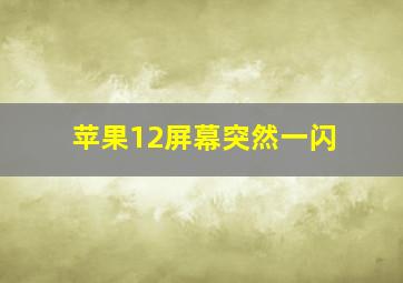 苹果12屏幕突然一闪