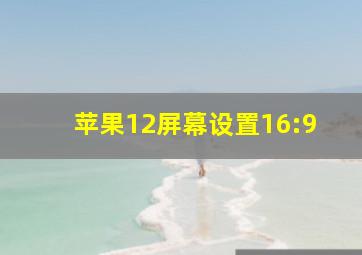 苹果12屏幕设置16:9