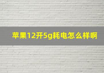 苹果12开5g耗电怎么样啊