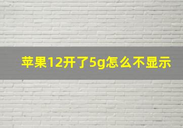 苹果12开了5g怎么不显示