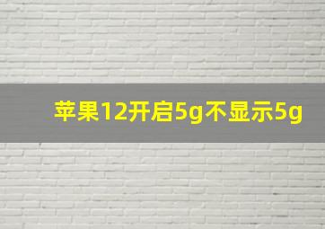 苹果12开启5g不显示5g