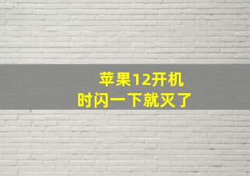 苹果12开机时闪一下就灭了