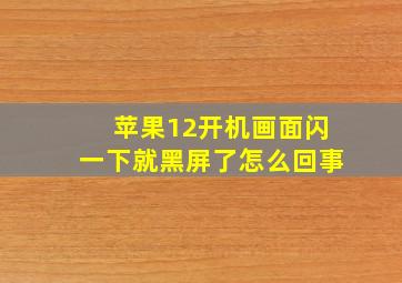 苹果12开机画面闪一下就黑屏了怎么回事