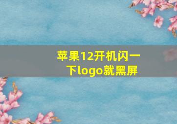 苹果12开机闪一下logo就黑屏