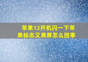 苹果12开机闪一下苹果标志又黑屏怎么回事