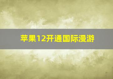 苹果12开通国际漫游