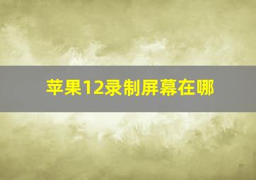 苹果12录制屏幕在哪