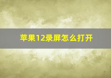 苹果12录屏怎么打开