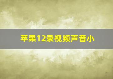 苹果12录视频声音小