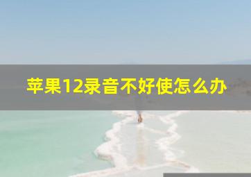 苹果12录音不好使怎么办