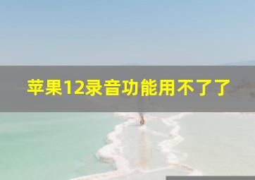 苹果12录音功能用不了了