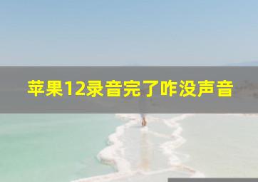 苹果12录音完了咋没声音