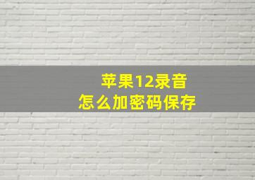 苹果12录音怎么加密码保存