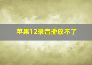 苹果12录音播放不了