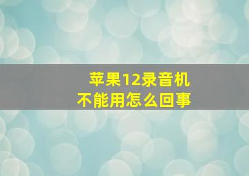 苹果12录音机不能用怎么回事