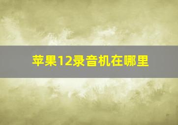 苹果12录音机在哪里