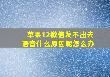 苹果12微信发不出去语音什么原因呢怎么办