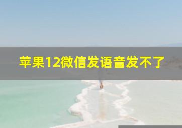 苹果12微信发语音发不了