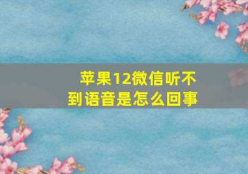 苹果12微信听不到语音是怎么回事