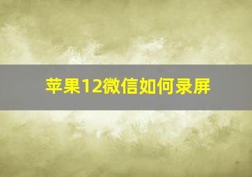 苹果12微信如何录屏