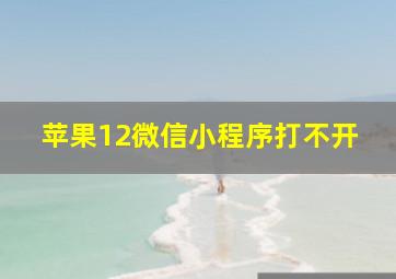 苹果12微信小程序打不开