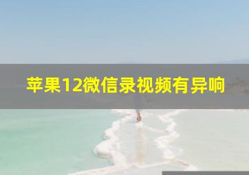 苹果12微信录视频有异响