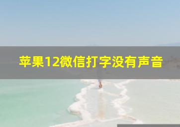 苹果12微信打字没有声音