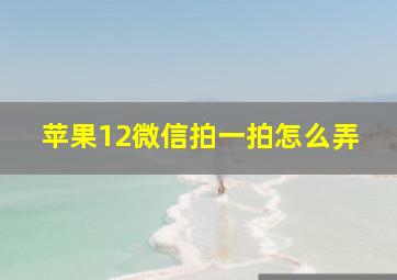 苹果12微信拍一拍怎么弄